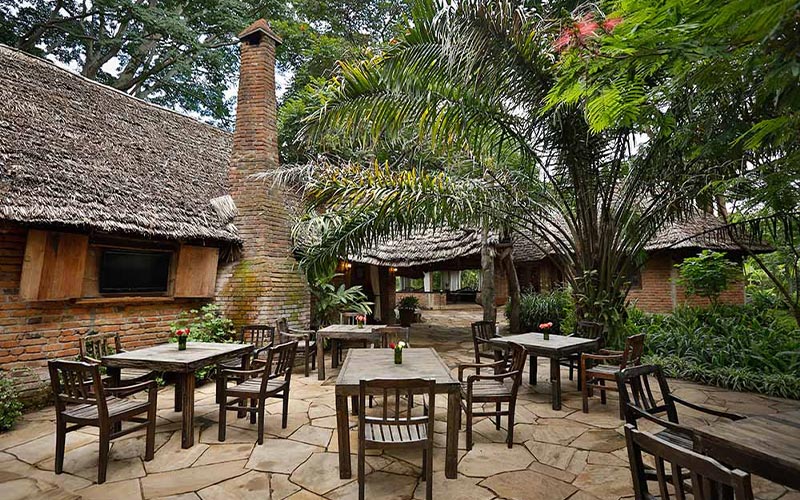 River tree lodge in Arusha